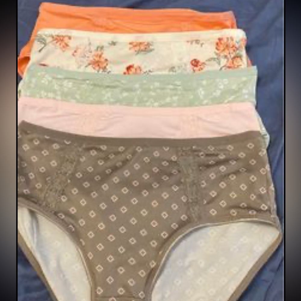 Brand new bikini cut underwear. 5pairs